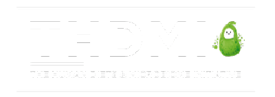 thdmi logo